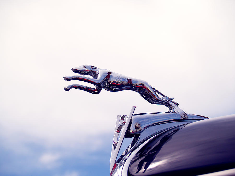 Cover Image for Drive Me 23